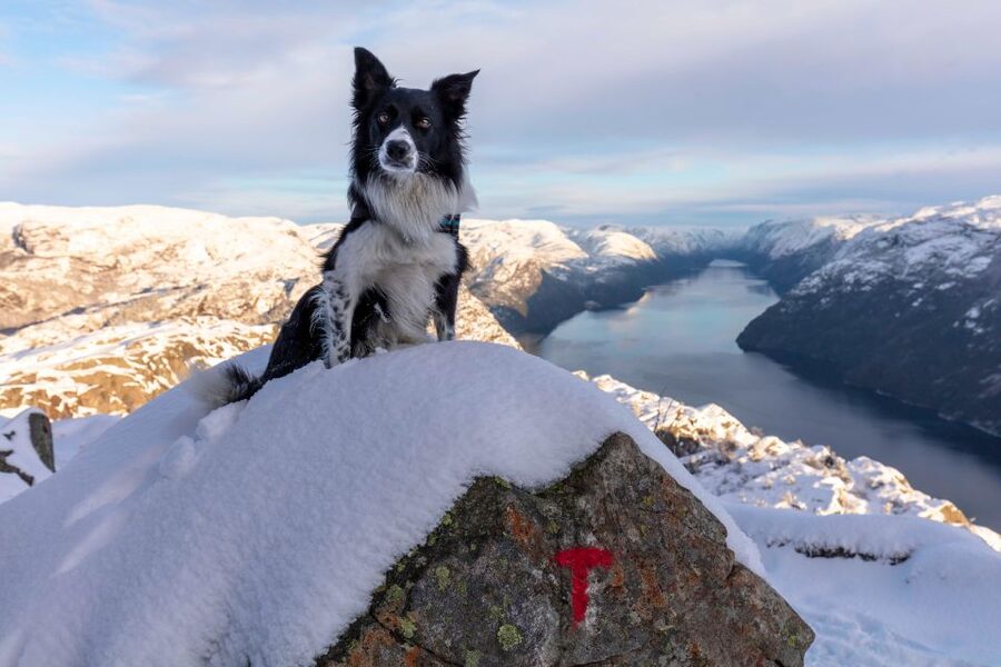 Stavanger: Preikestolen Winter Hike + Hot Lunch - Getting Ready at the Trailhead