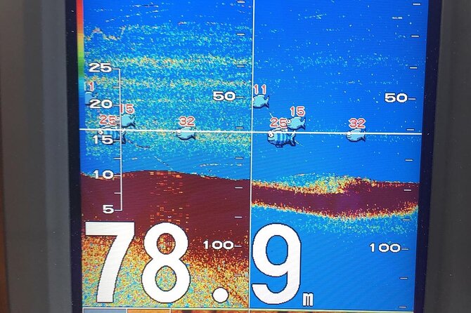 Stavanger Private Safari and Fishing’s - What the past outings reveal about the crew