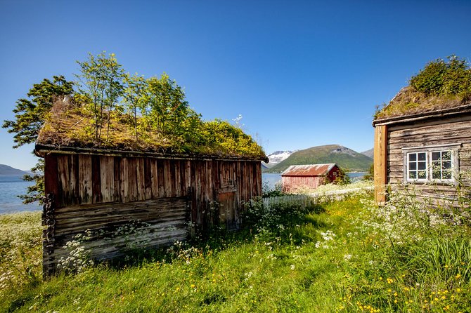Summer Fjord Road Trip with Citizen Science with Wandering Owl - Leaving Tromsø for Kvaløya