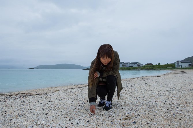 Summer Fjord Road Trip with Citizen Science with Wandering Owl - The homemade picnic by the water