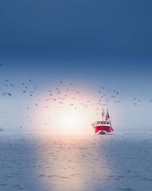 Svolvær and Henningsvær Sightseeing and History Tour - Open Countryside and the Arctic Scenery