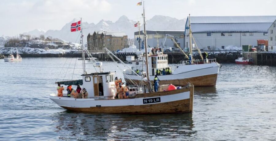 Svolvær: Fishing Trip on the Lofoten Sea - Key points before you book