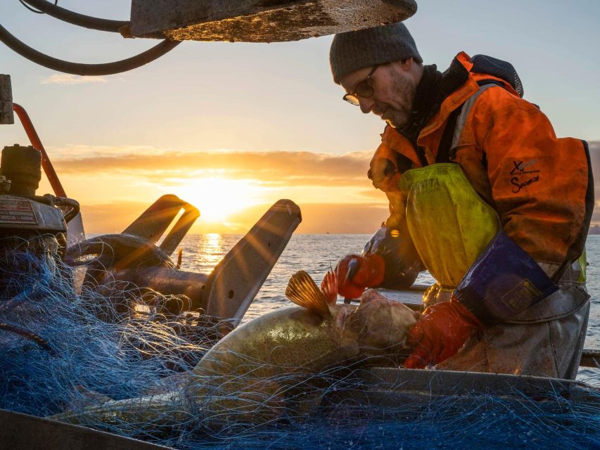 Svolvær: Fishing Trip on the Lofoten Sea - Who will enjoy this trip most?