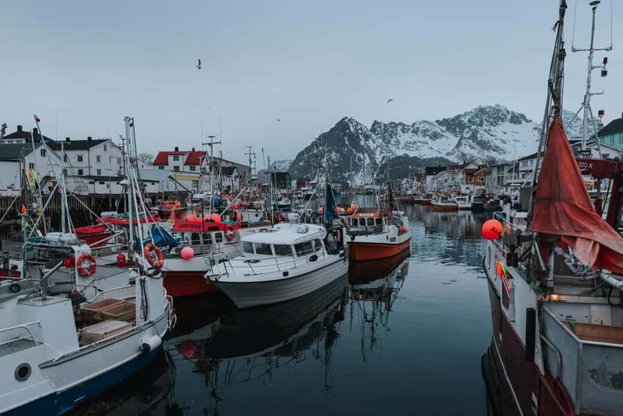 Svolvær: Lofoten Scenic Sightseeing Tour: Half day tour - What makes this six-hour outing worth considering