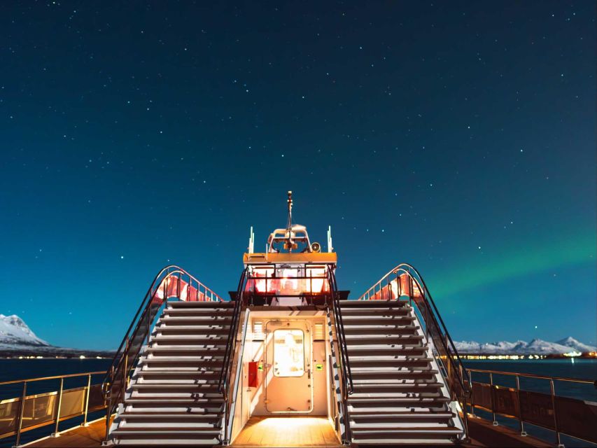 Svolvær: Northern Lights and Full Steam Cruise with Tasting - What the $103 price really covers