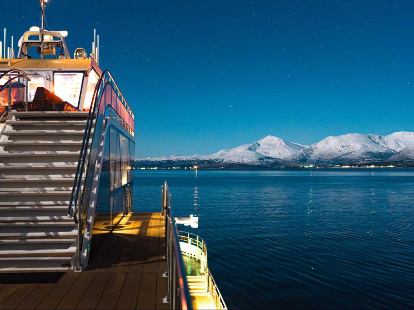 Svolvær: Northern Lights and Full Steam Cruise with Tasting - Austnesfjord views and the underwater drone