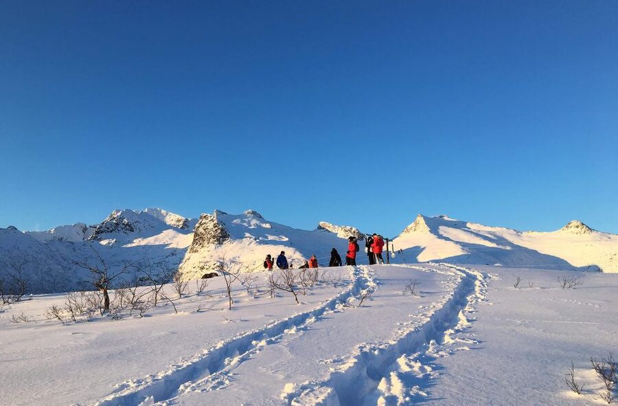 Svolvær: Snowshoe Nature Explorer - Key points to know before you book