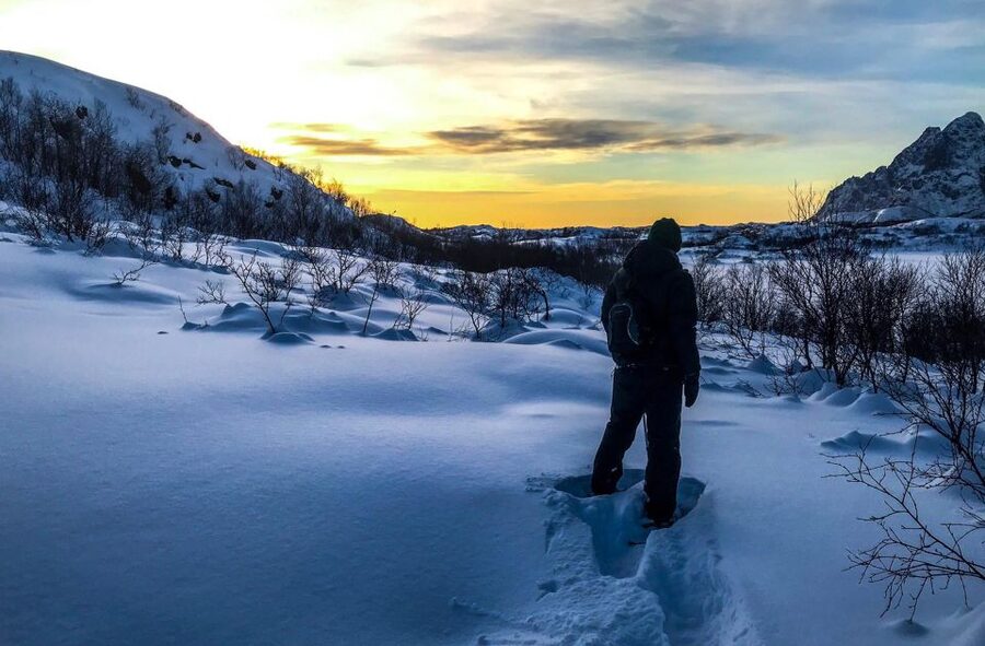 Svolvær: Snowshoe Nature Explorer - Stories from Lofoten along the way
