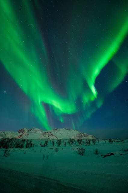 Svolvær: Ultimate Aurora Hunt - Who should book this aurora hunt?