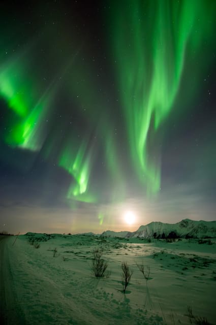 Svolvær: Ultimate Aurora Hunt - Why the small group matters