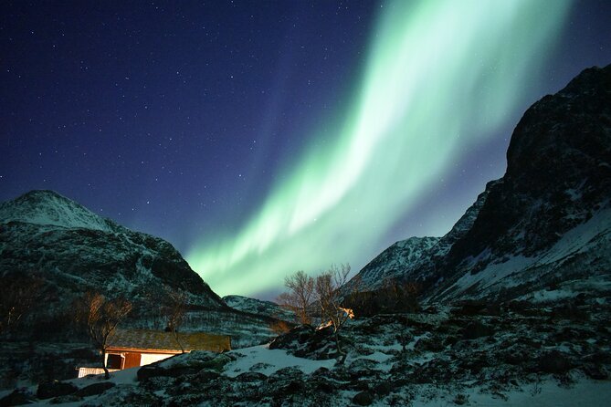 The Aurora Tour - small group, northern lights - Campfire, hot drinks, and winter warmth