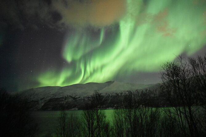 The Aurora Tour - small group, northern lights - What happens when the aurora does not appear