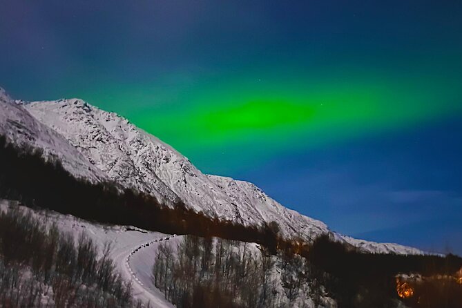The Aurora Tour - small group, northern lights - Is $233.58 a fair price?