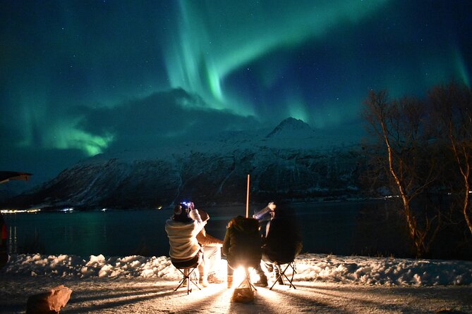 The Aurora Tour - VIP trip for northern lights, aurora borealis - Key points to know before booking