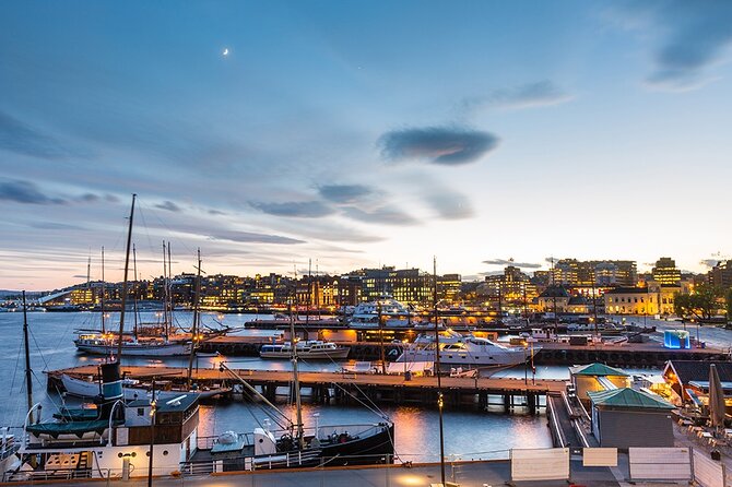 The Essential Oslo Private Walking Tour - Akershus Fortress and Oslo Fjord views