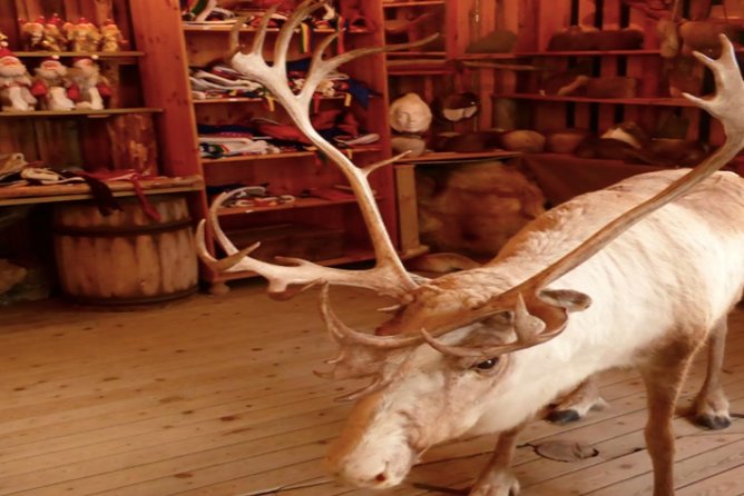 The North Cape, Reindeer and Sami Families Tour - The commentary can make or break the bus ride