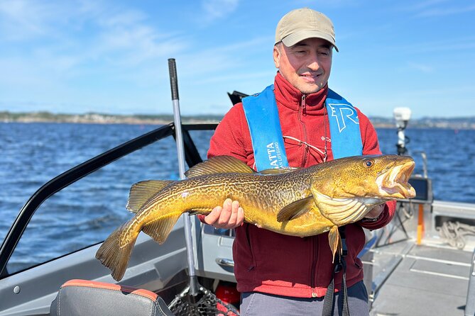 The Southern Norwegian Archipelago Experience - Who should book this boat trip?