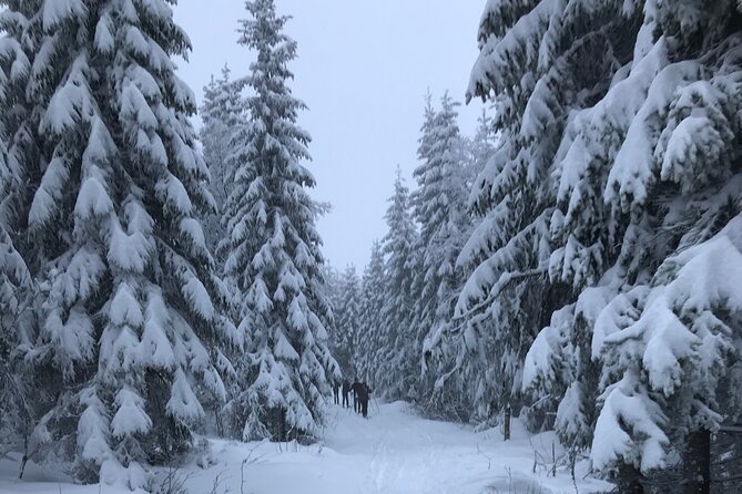 The Ultimate Norwegian Skiing Experience - Is $112.60 good value?