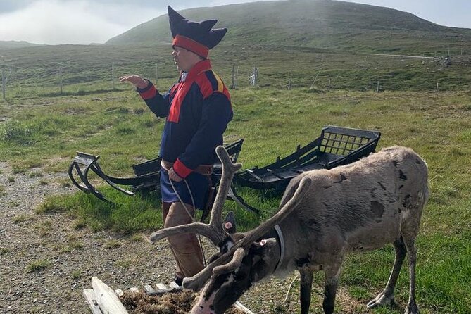 The VIP North Cape Tour - Key points to know before you book