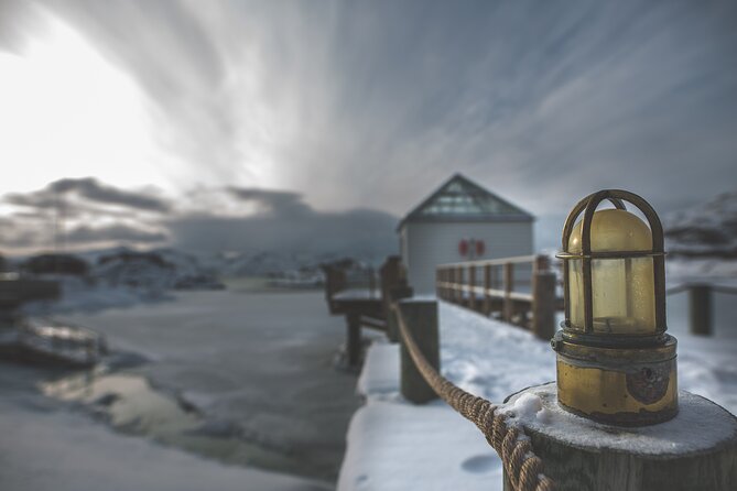 Tour of the authentic fjords of Kvaløya - Guides, drivers, and the feel of the group