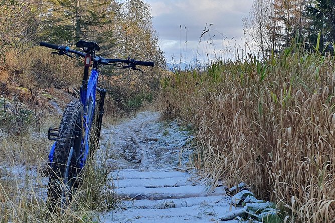 Trail challenge with electric mountainbike - From Bodø harbor to the start of the trail