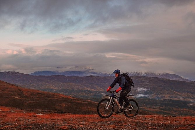Trail challenge with electric mountainbike - The narrow descent and forest-road finish