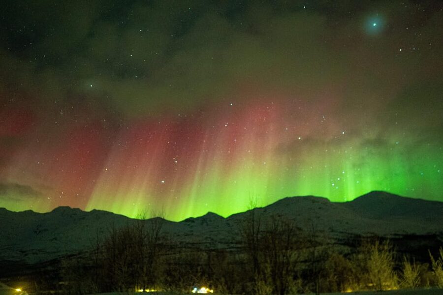Tromsø Adventurous Northern Lights Small-Group - Who will enjoy this Arctic chase most