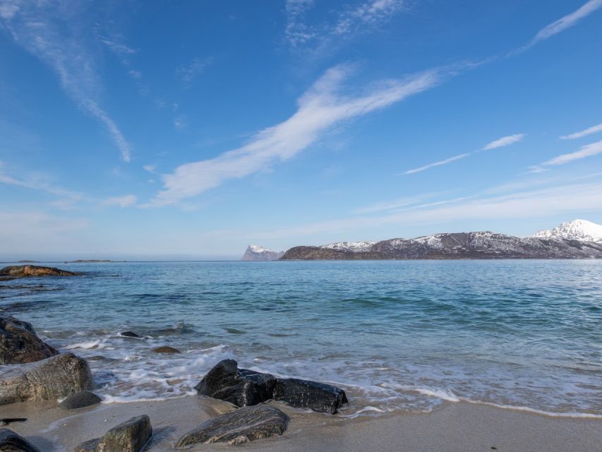 Tromso: All-Inclusive Arctic Fjords and Sommarøy Scenic Tour - Kvaløya: fjords, valleys, and Arctic wildlife