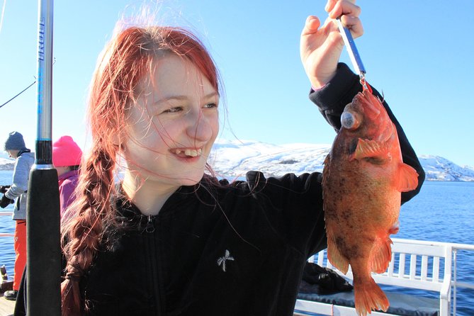 Tromsø: Arctic Fjord Cruise & Fishing Experience - Five details that shape the experience