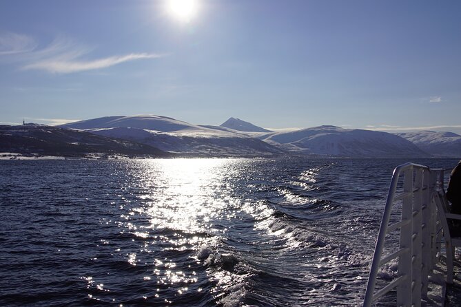 Tromsø: Arctic Fjord Cruise & Fishing Experience - Fish soup, bread, and hot drinks aboard