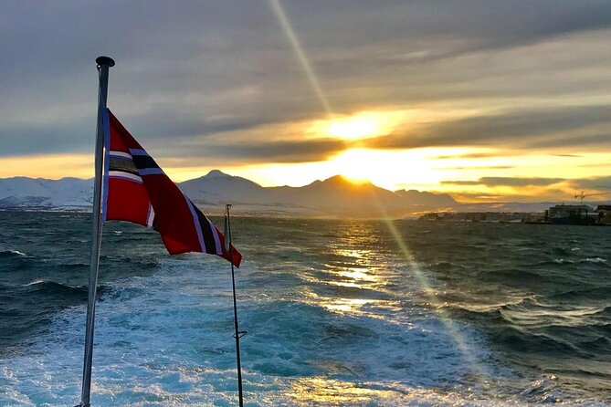 Tromsø: Arctic Fjord Cruise & Fishing Experience - Is $156.08 a fair price?