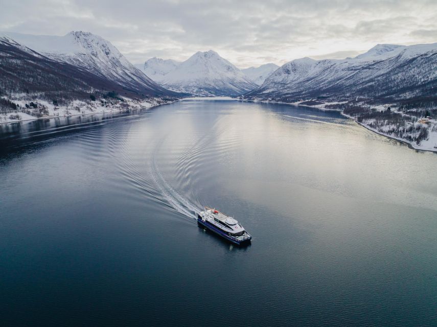 Tromsø: Arctic Fjord Cruise in Polar Landscapes - Wildlife watching without false promises