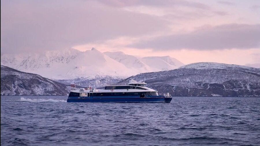 Tromsø: Arctic Fjord Cruise in Polar Landscapes - Guides, stories, photographs, and a playful finish