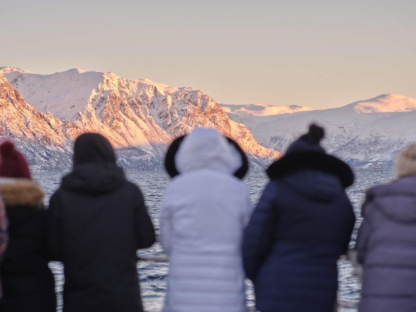 Tromsø: Arctic Fjord Cruise in Polar Landscapes - Weather changes the entire experience