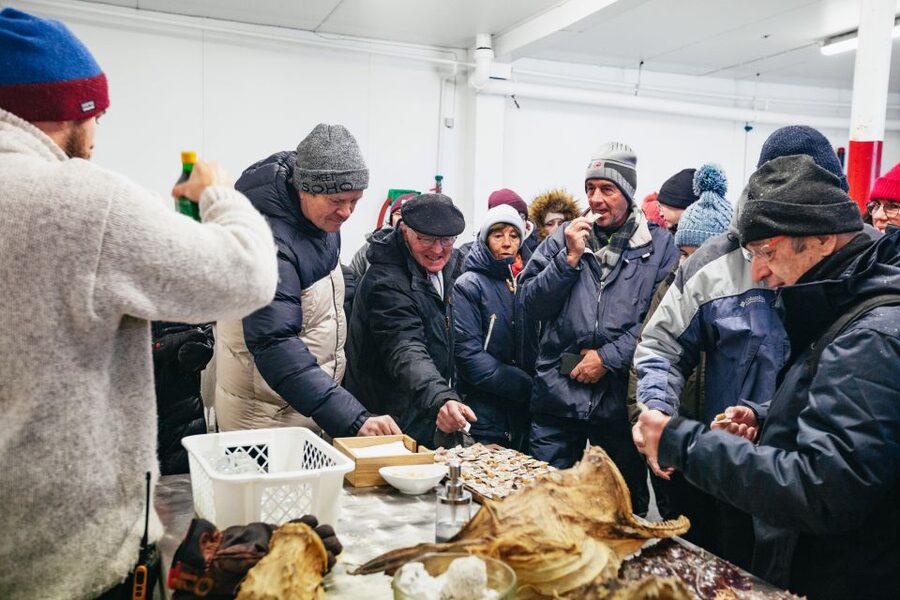 Tromsø: Arctic Fjord Cruise With Stop On Land At Fish Racks - Store Grindøya and the hunt for wildlife