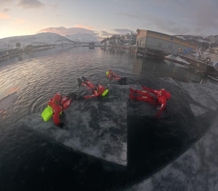 Tromsø: Arctic Fjord Floating in Survival Suit - Key points to know before you book