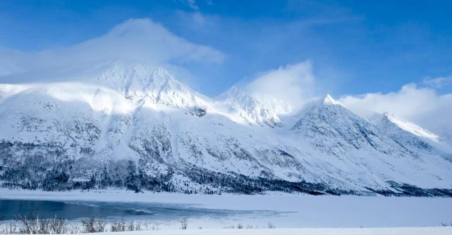 Tromsø: Arctic Landscape and Fjord Tour with Snacks - Why this Arctic tour is worth your time