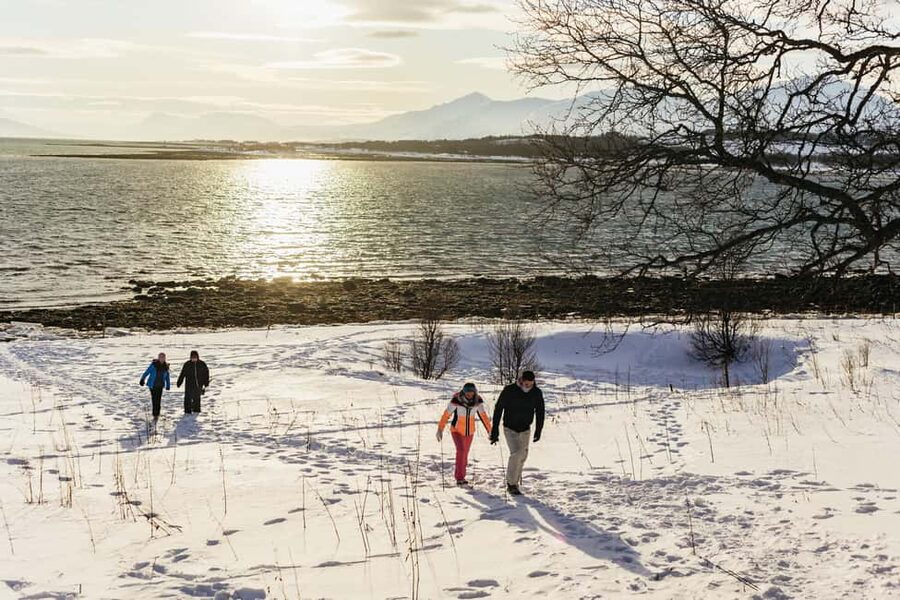 Tromsø: Arctic Landscape and Fjord Tour with Snacks - Final call: a practical way to see the fjords
