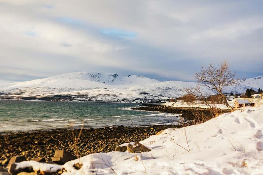 Tromsø: Arctic Landscape and Fjord Tour with Snacks - Wildlife, weather, and photography
