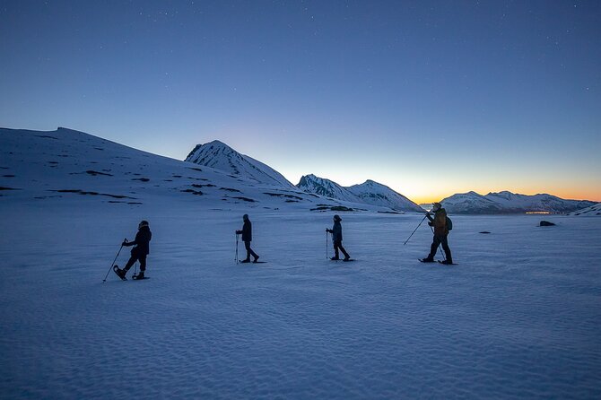 Tromsø: Arctic Landscapes Hiking / Snowshoeing Tour in the wild - Why this Tromsø snowshoeing trip feels different
