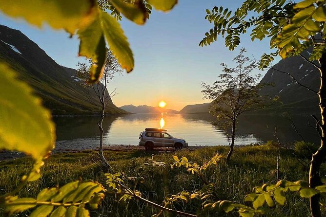 Tromsø: Arctic Landscapes Hiking / Snowshoeing Tour in the wild - Choosing between a walk, light hike, or snowshoes
