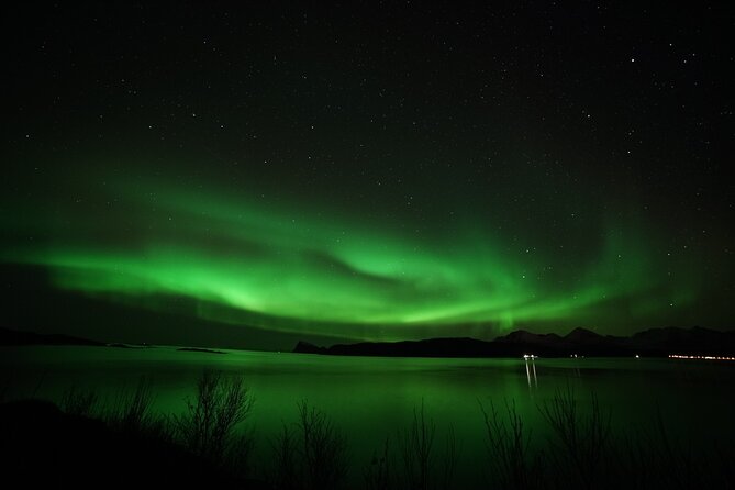 Tromso Aurora Chase by Minibus with Thermal Suit, Snack and Photo - Fires, food, and staying warm