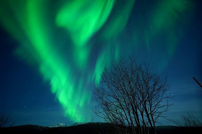 Tromso Aurora Chase by Minibus with Thermal Suit, Snack and Photo - Why the guides matter more than the forecast