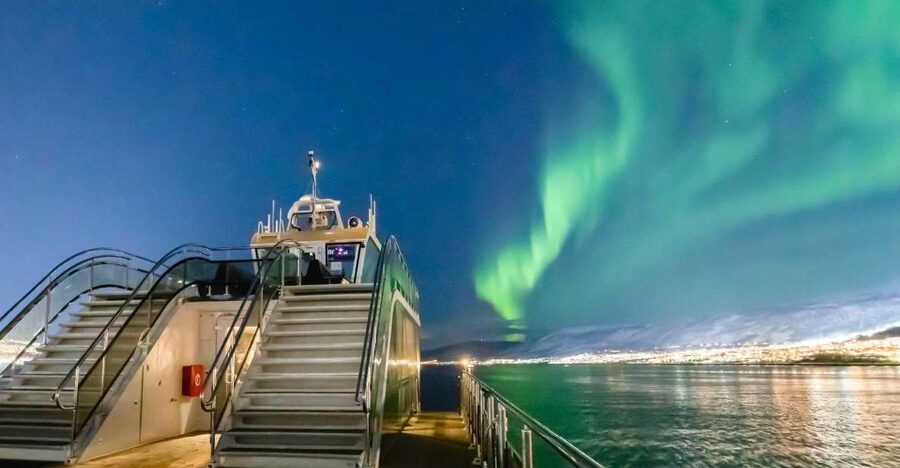 Tromsø: Aurora Dinner Cruise by Hybrid-Electric Catamaran - The first food tasting at a scenic viewpoint