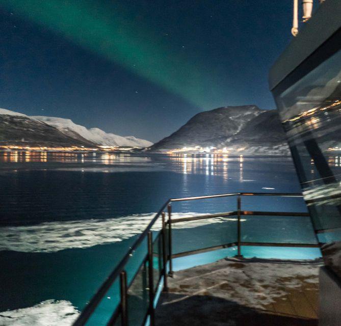 Tromsø: Aurora Dinner Cruise by Hybrid-Electric Catamaran - Dinner in the dark waters