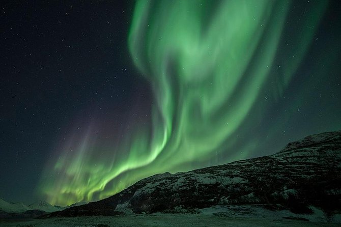 Tromso Aurora Hunt with Bonfire, Soup, Winter Gear & Transfers - The guides make the difference