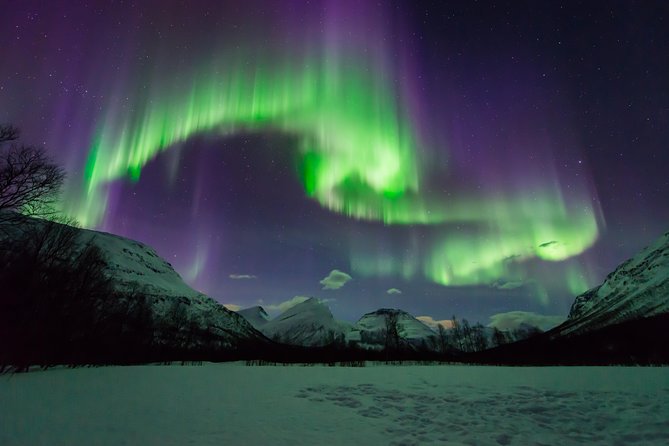 Tromso Aurora Hunt with Bonfire, Soup, Winter Gear & Transfers - Drop-off options and practical planning