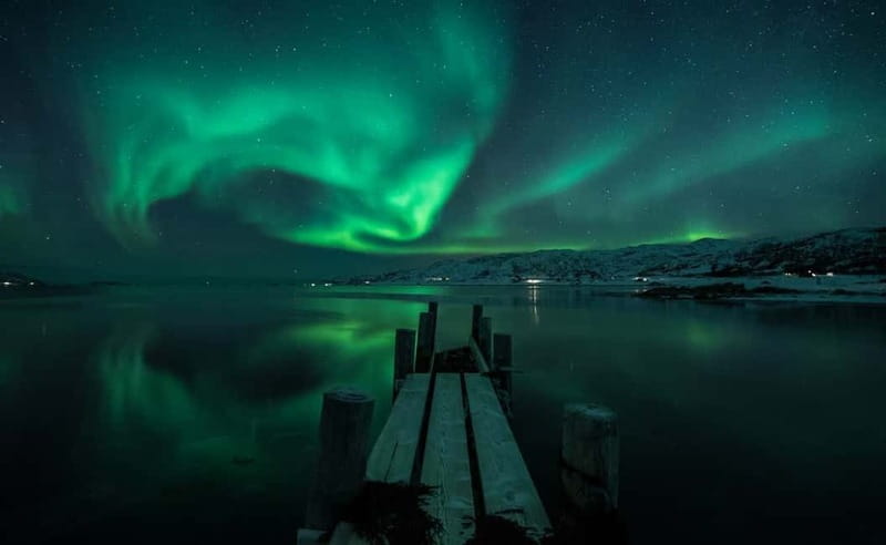 Tromsø: Aurora Hunt with Citizen Science - Should you book Wandering Owl?