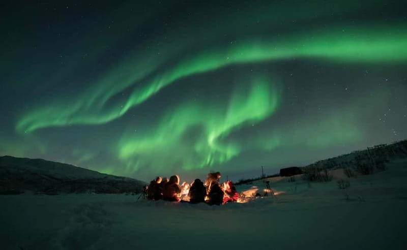 Tromsø: Aurora Hunt with Citizen Science - Why this Tromsø aurora hunt feels different
