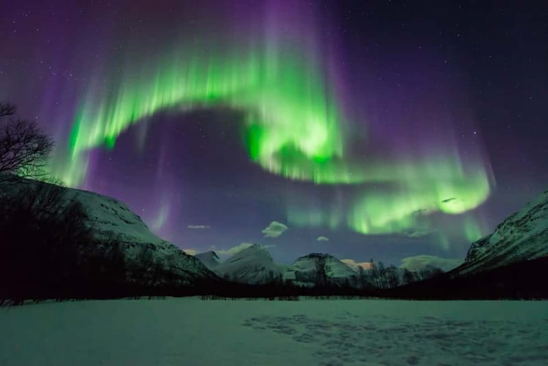 Tromsø: Aurora Hunt with Citizen Science - From Scandic Ishavshotel to the open countryside